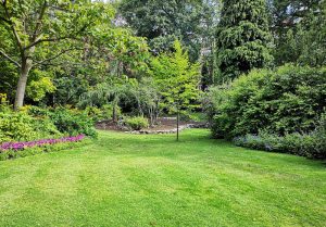 Optimiser l'expérience du jardin à Auxelles-Haut